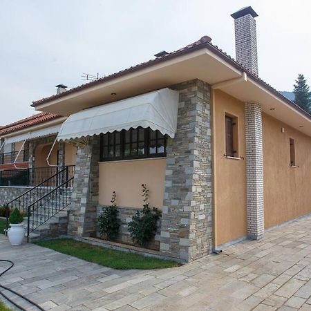 Βίλα Για Όλες Τις Εποχές Του Χρόνου コザニ エクステリア 写真